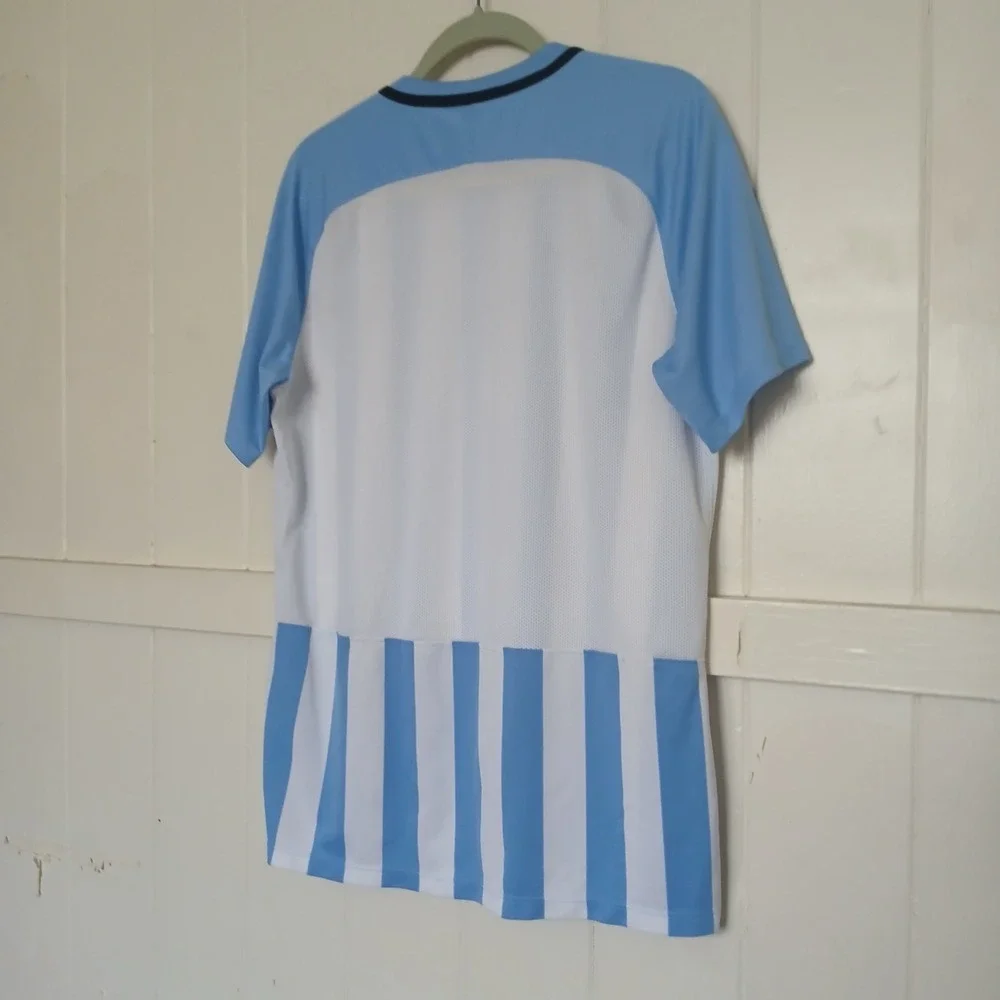 Nike Jersey Soccer Futbol Men's Large V-Neck Argentina Blue‎ White Stripe 894096